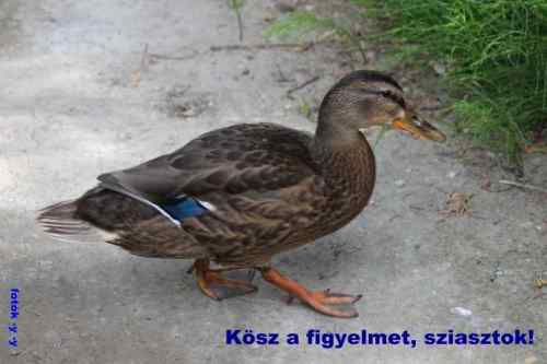 Apróságok útközben