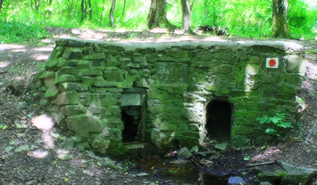 170609_keszeg-nezsa-n-sap068