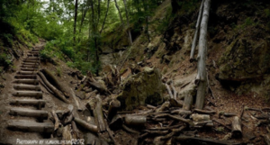 20170520_oroshazi_02