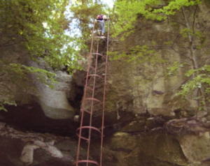 20170520_oroshazi_03