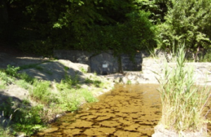 20170520_oroshazi_05