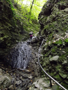 20170715_oroshazi_03