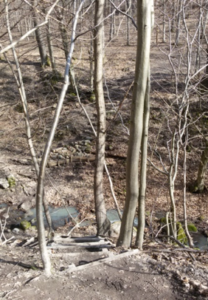 20170729_oroshazi_01