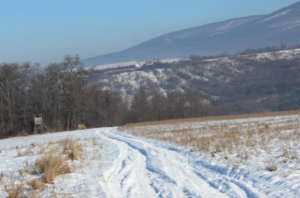 screen-shot-2018-01-01-at-19-18-57